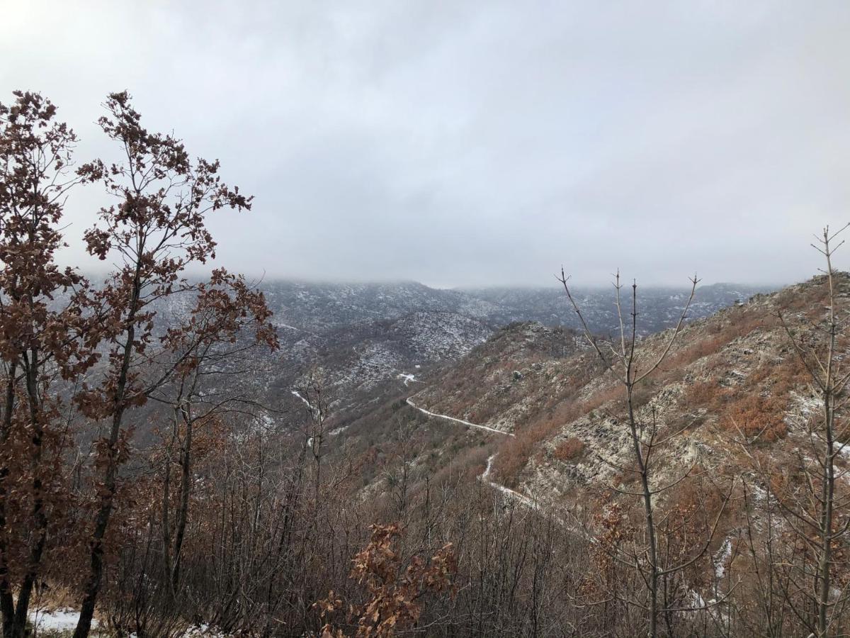 Вилла House On The Hill Цетине Экстерьер фото